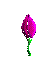 aniBudding-purple-flower.gif (7740 bytes)