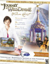 Wisdom Quest  with complementary $4.50 stress card