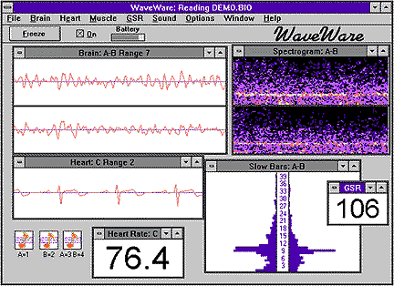 WAVERIDER-SCREEN.GIF (26260 bytes)